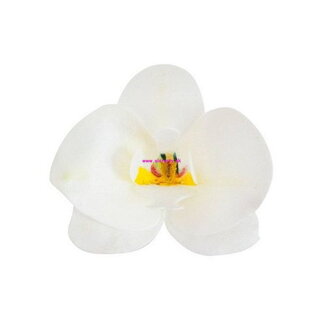 Oblátková kvetina - orchidea- biela -10ks