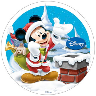 Mickey 1