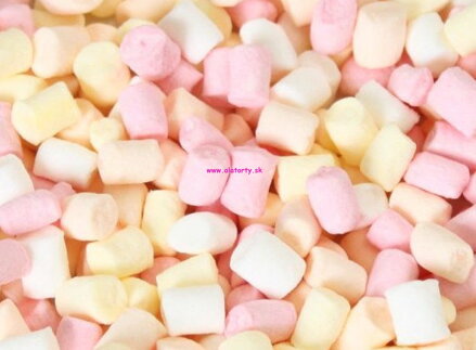 Mini marshmallow 100g 