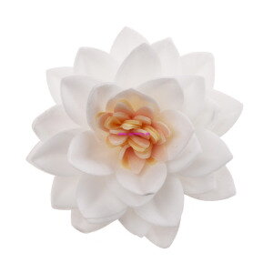  Lotusová  oblátková kvetina  - biela  - 15ks