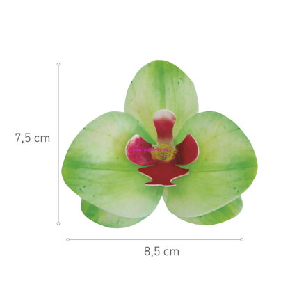 Oblátková kvetinka - orchidea zelená - 10ks