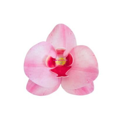 Oblátková kvetina  - orchidea ružová - 10ks