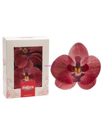 Oblátkové kvety - orchidea bordová - 10ks
