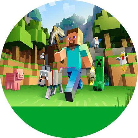 Minecraft - 4