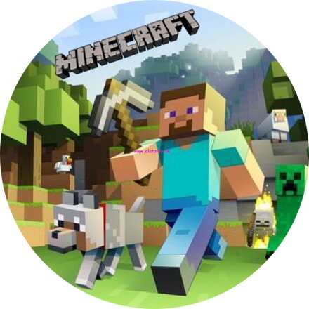 Minecraft - 5