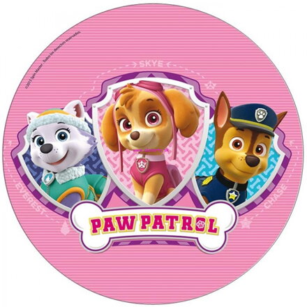 Paw Patrol 12