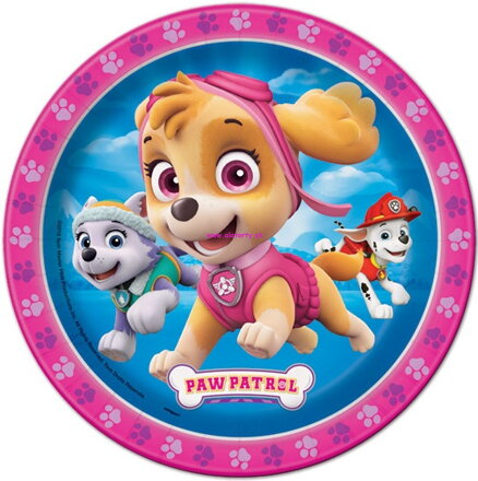 Paw Patrol 13