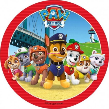 Paw Patrol 6