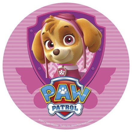 Paw Patrol 8