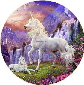 Unicorn - 14