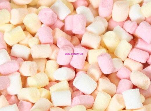 Mini marshmallow 100g 