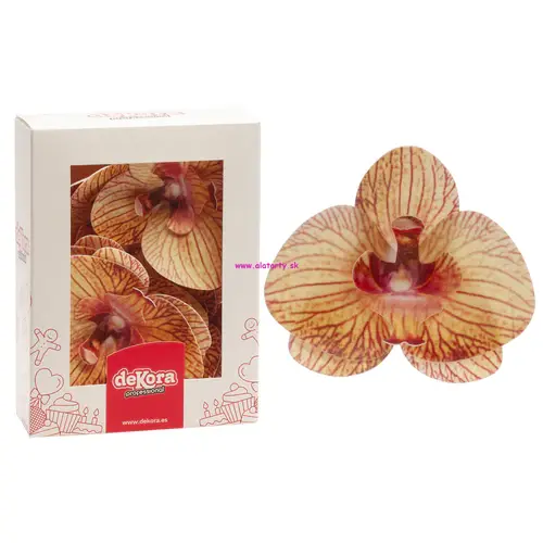 Oblátkové kvety - orchidea - žltá - 10ks