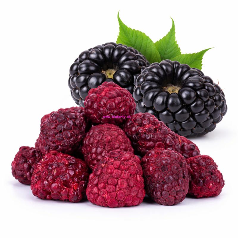 Foody Lyofilizované černice 100 g